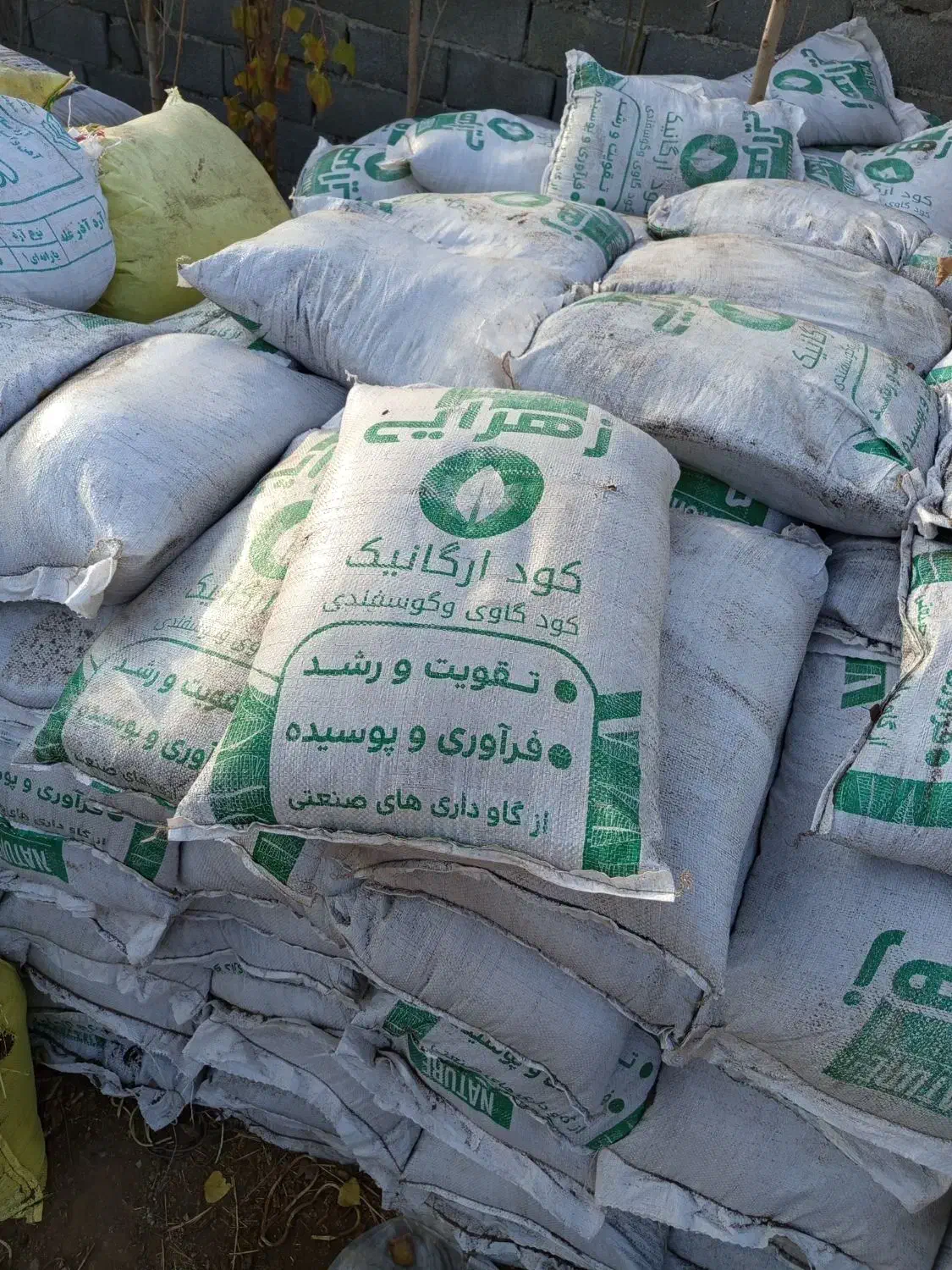 انواع گل و نهال|خدمات باغبانی و درختکاری|ماهدشت, |دیوار