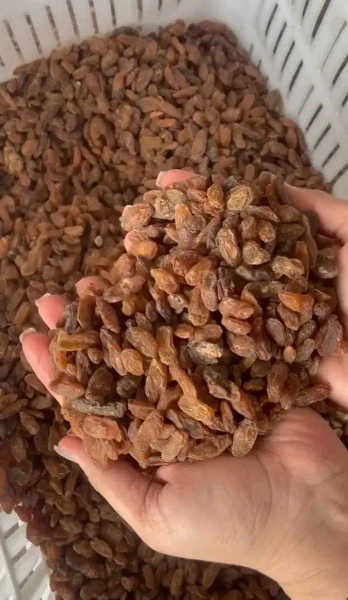 کشمش آفتابی|خوردنی و آشامیدنی|یزد, |دیوار