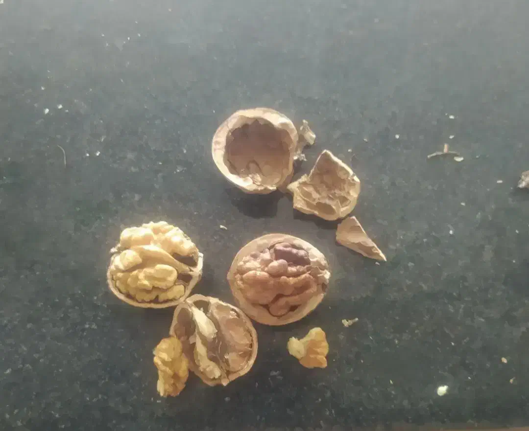 380|خوردنی و آشامیدنی|نورآباد, |دیوار