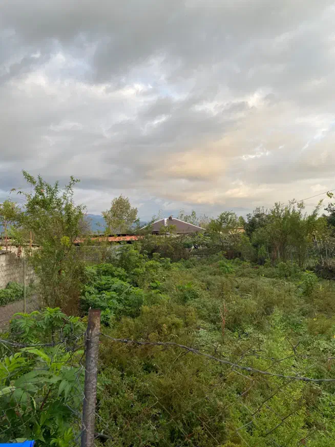 فروش ۲۸۰ متر مسکونی/روستای کوچلان|فروش زمین و ملک کلنگی|تالش, هشتپر|دیوار