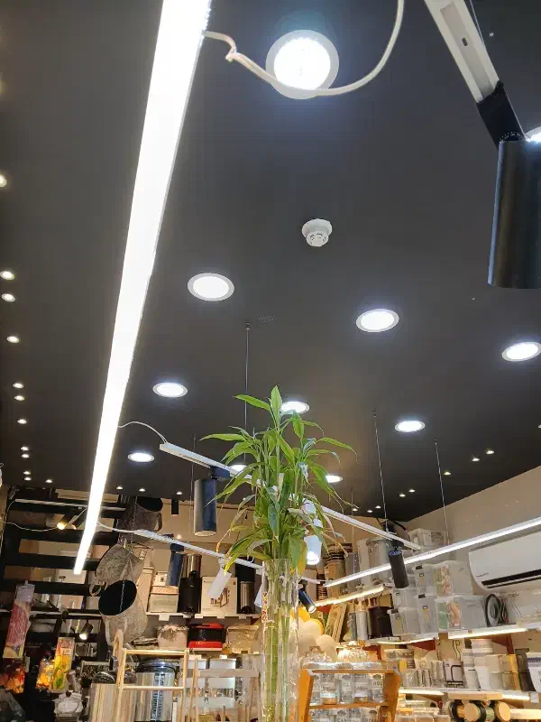 با خرید رورانه ات هدیه بگیر/سینما سعدی/گلسرخ/صنایع|حراج|شیراز, مهدیآباد|دیوار