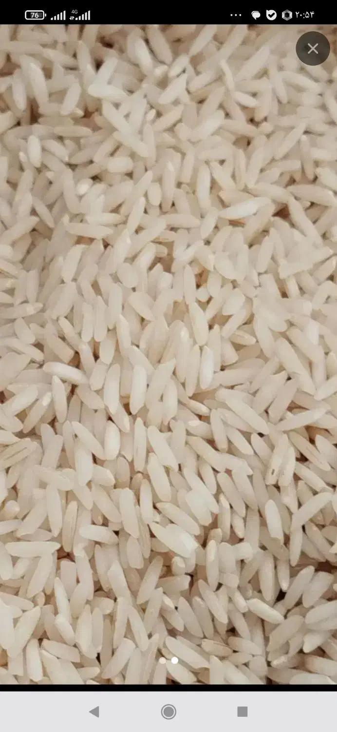 برنجهاشمی|خوردنی و آشامیدنی|کوچصفهان, |دیوار