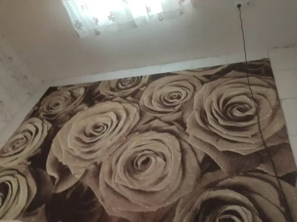 فرش۶متری درحد نو|فرش|هشتگرد, شهرک ریحانه|دیوار