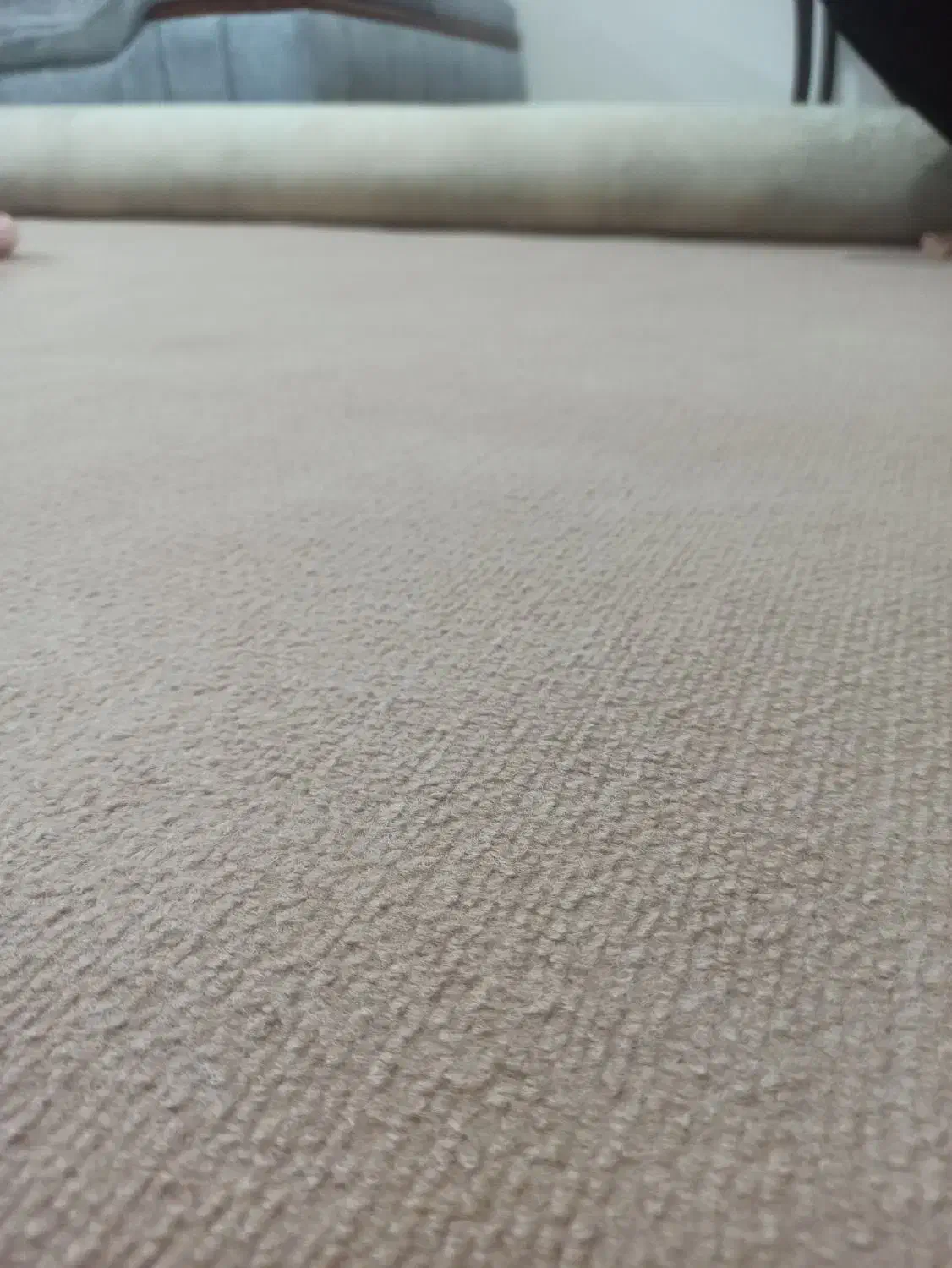 موکت نسکافه ای|موکت|قم, انصار‌الحسین|دیوار