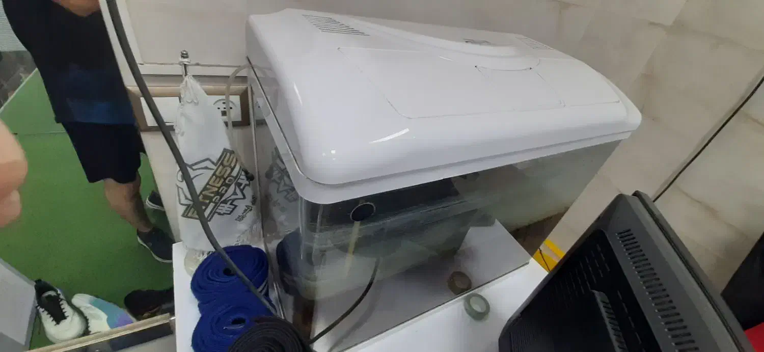 اکواریوم|ماهی|فولادشهر, C4|دیوار