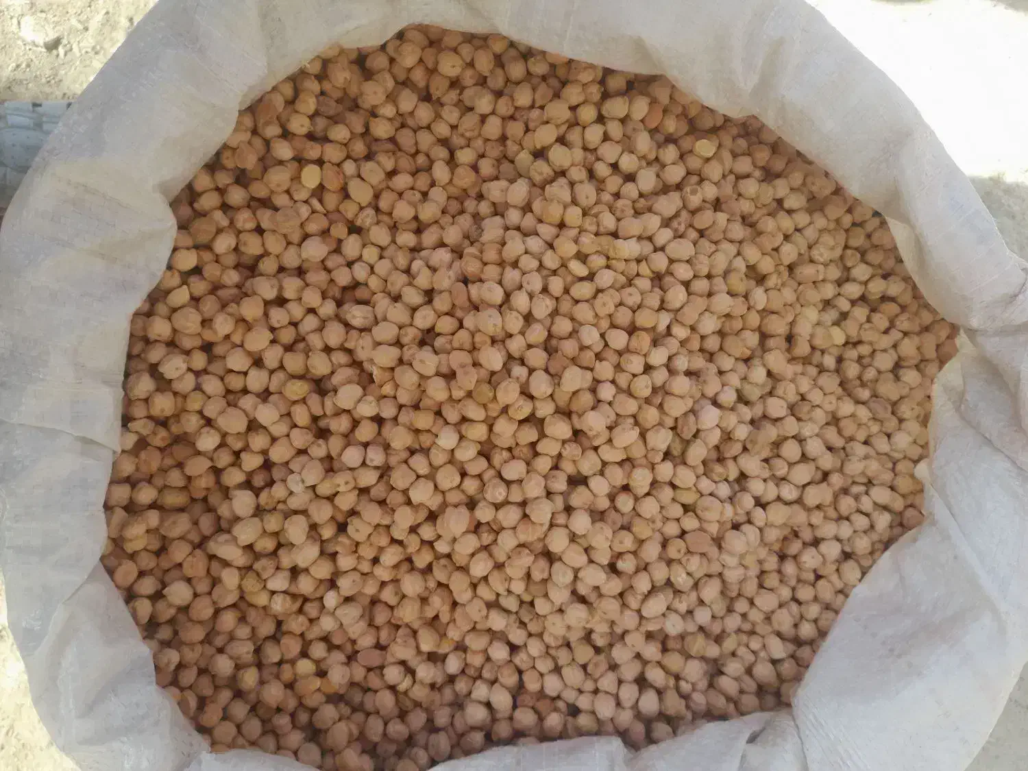 نخود دیم کرمانشاهی یک تن|عمدهفروشی|تربت جام, میان جام|دیوار