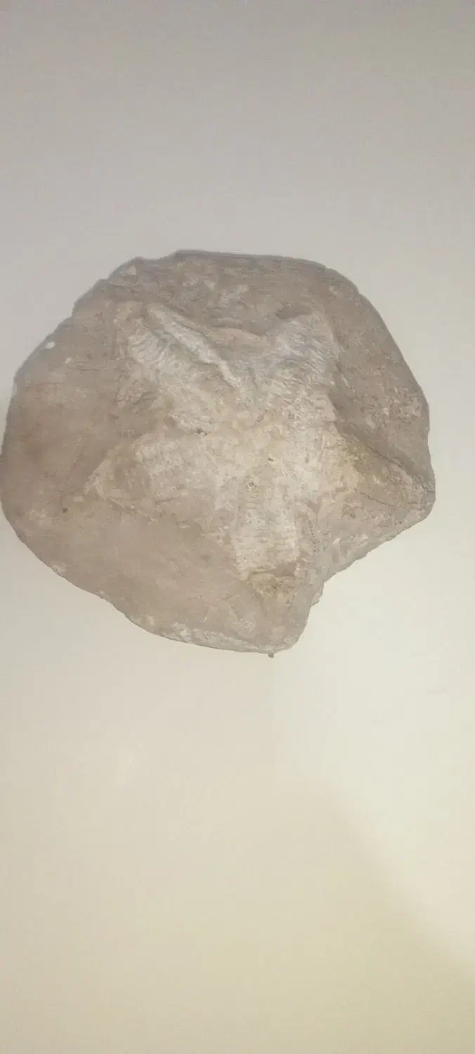 فسیل|کلکسیون اشیاء عتیقه|سراب, |دیوار