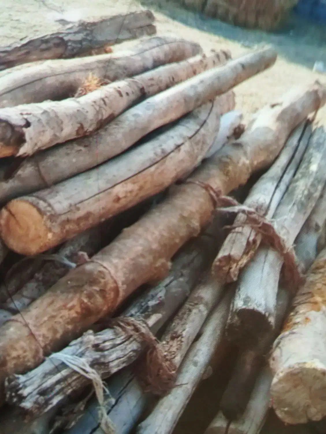 خرید انواع چوب به قیمت روز|خدمات باغبانی و درختکاری|قصابه, |دیوار