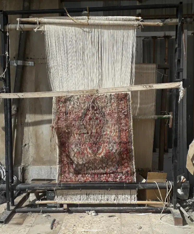 دار قالی و قالی|فرش|کرمان, |دیوار