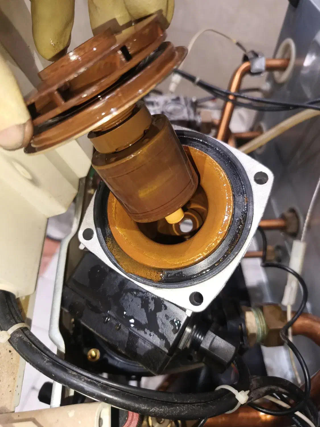 سرویس و تعمیر پکیج دیواری|آبگرمکن، پکیج، شوفاژ|قزوین, |دیوار