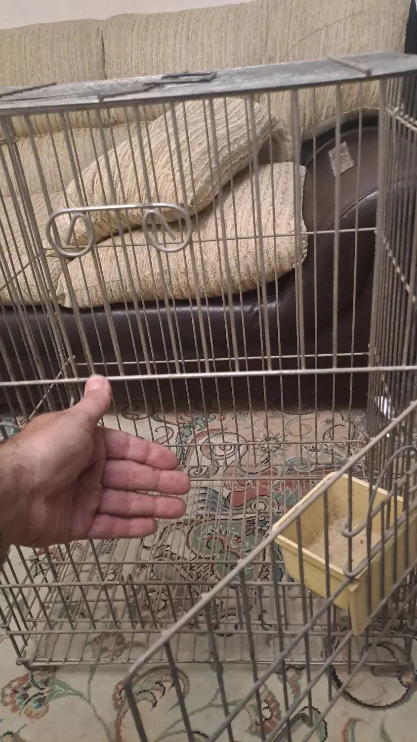 قفس پرنده طوطی یا مرغ مینا+درختچه|لوازم جانبی حیوانات|کرج, فاز ۴ مهرشهر|دیوار