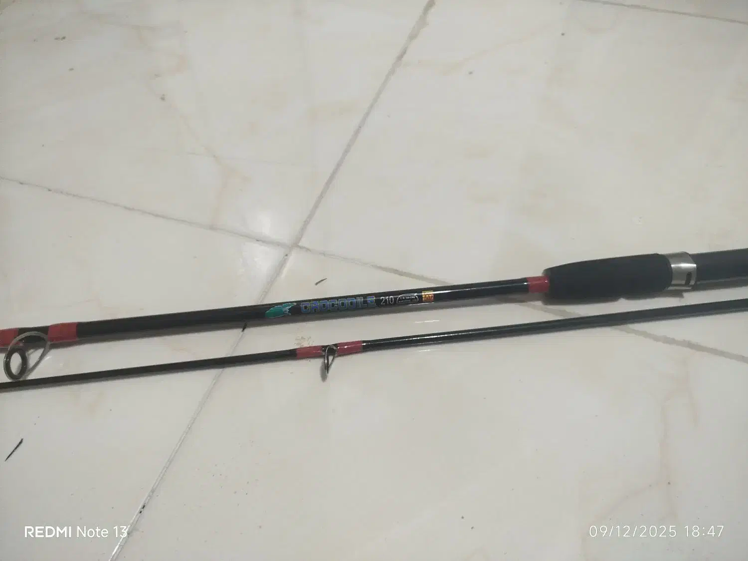 چوب ماهیگیری|ماهیگیری|بندرعباس, |دیوار