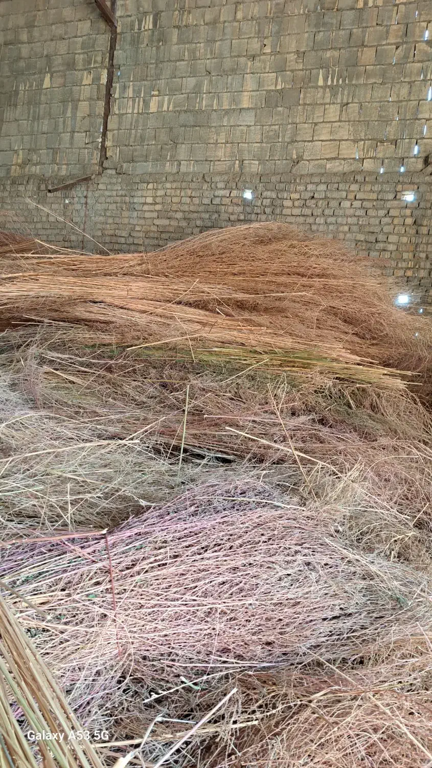 خرید و فروش جارو شهرداری|عمده‌فروشی|نهاوند, |دیوار