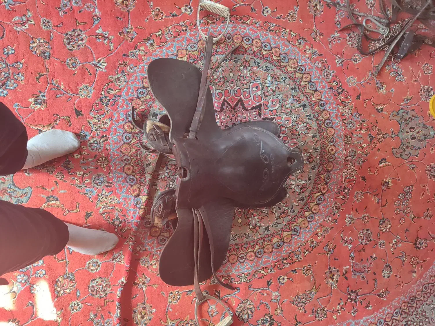 زین اسب|اسب و تجهیزات اسبسواری|سنندج, |دیوار