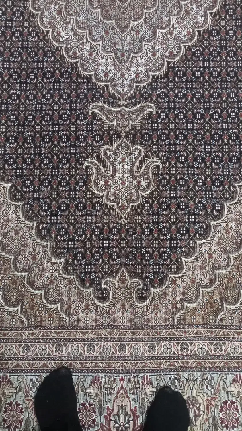 اندازه ۲در۳ فرش دستبافت ریز ماهی|فرش|خوی, |دیوار