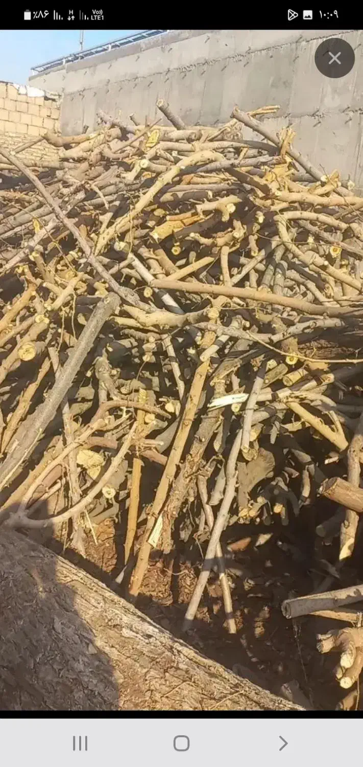 خرید انواع چوب با بالا ترین قیمت|خدمات باغبانی و درختکاری|دورود, |دیوار
