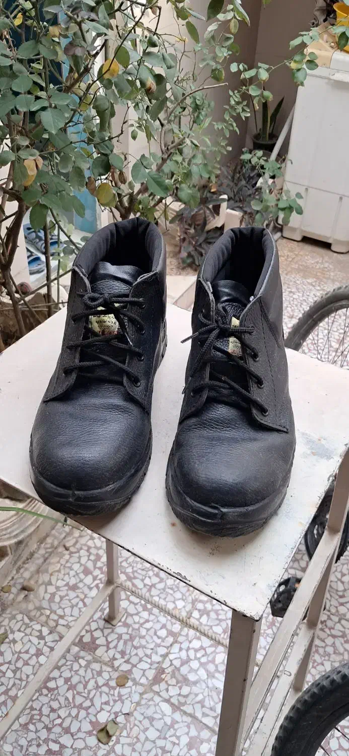 کفش کار نو|کیف، کفش، کمربند|گنبد کاووس, |دیوار