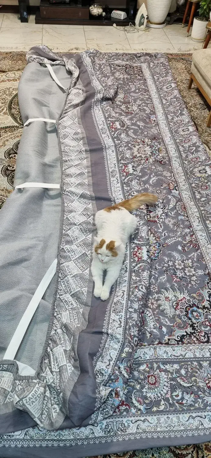 روفرشی کشدار در حد نو|روفرشی|شیراز, ریشمک|دیوار