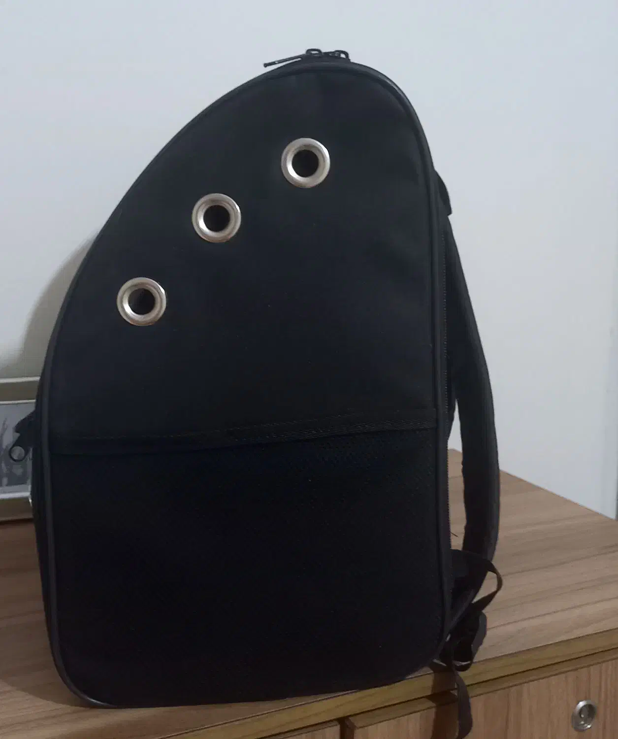 باکس گربه|لوازم جانبی حیوانات|رشت, پارک شهر|دیوار