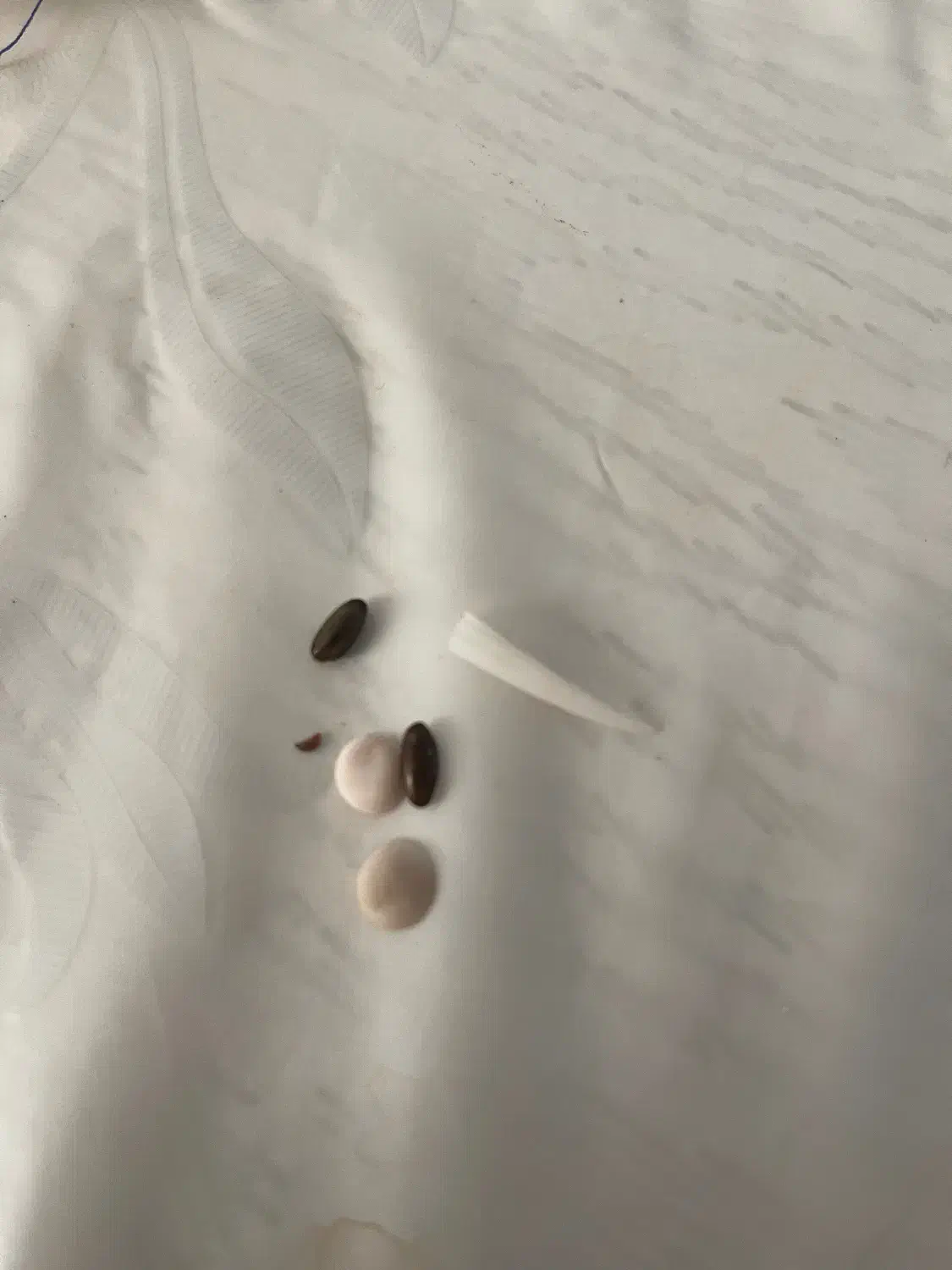 مهره اصل قدیمی|کلکسیون اشیاء عتیقه|ایلام, |دیوار