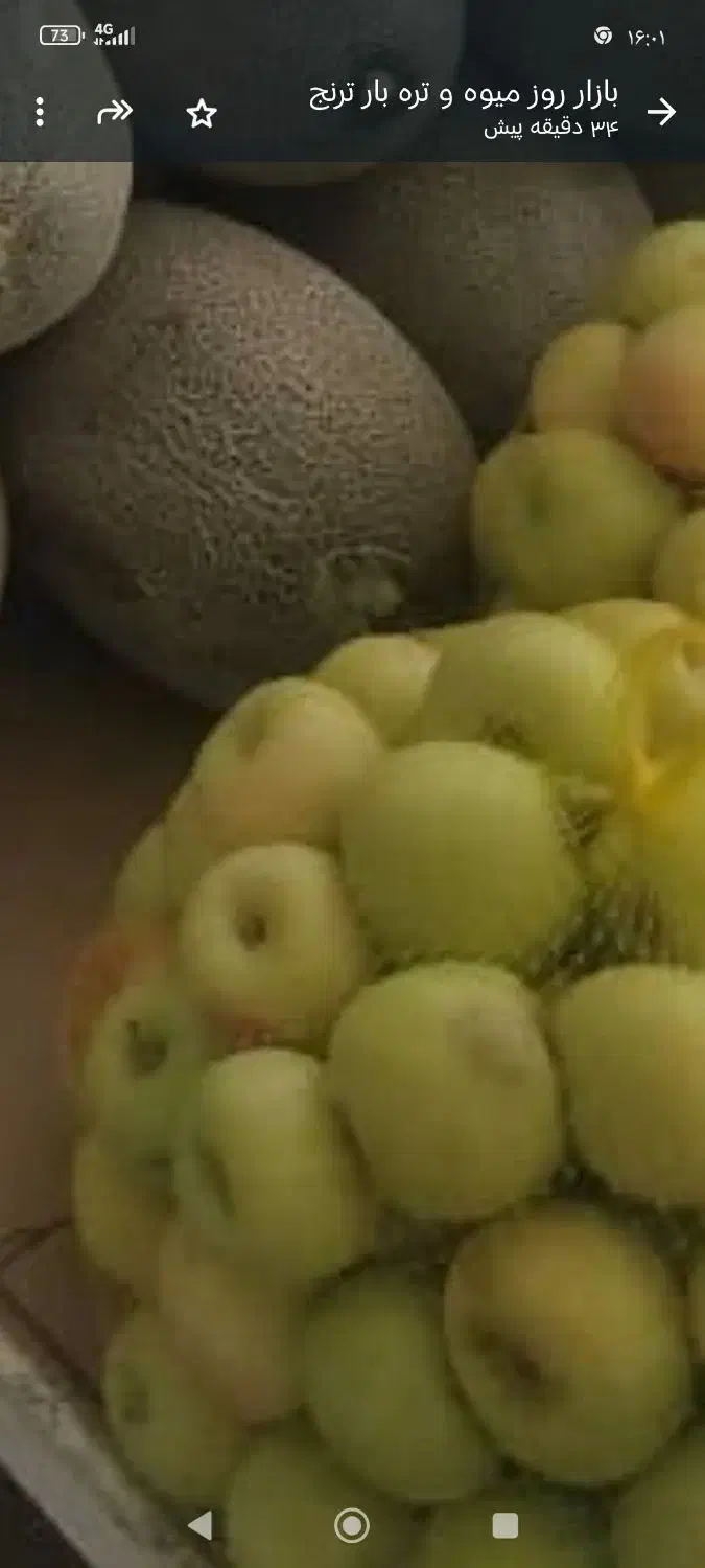 انواع تور بسته بندی برای میوه اسباب بازی|عمدهفروشی|اصفهان, شهرک کاوه|دیوار