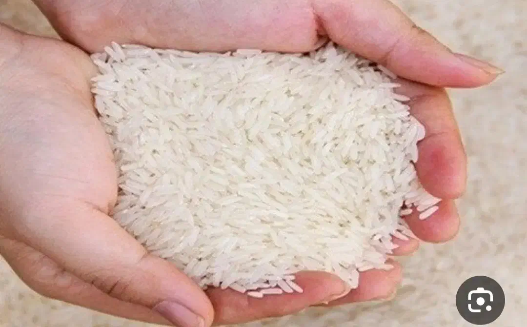 برنج هاشمی  طارم  صدری عنبربو  فجر  ندا  شیرودی|خوردنی و آشامیدنی|اردبیل, |دیوار