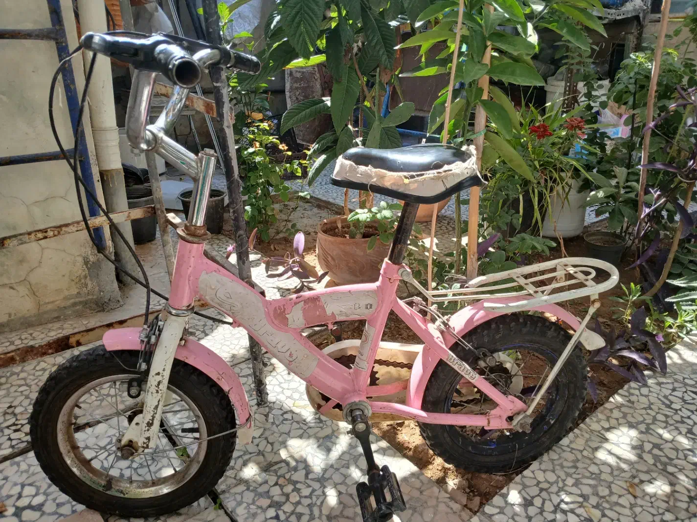 دوچرخه|دوچرخه، اسکیت، اسکوتر|مرودشت, ژیان|دیوار