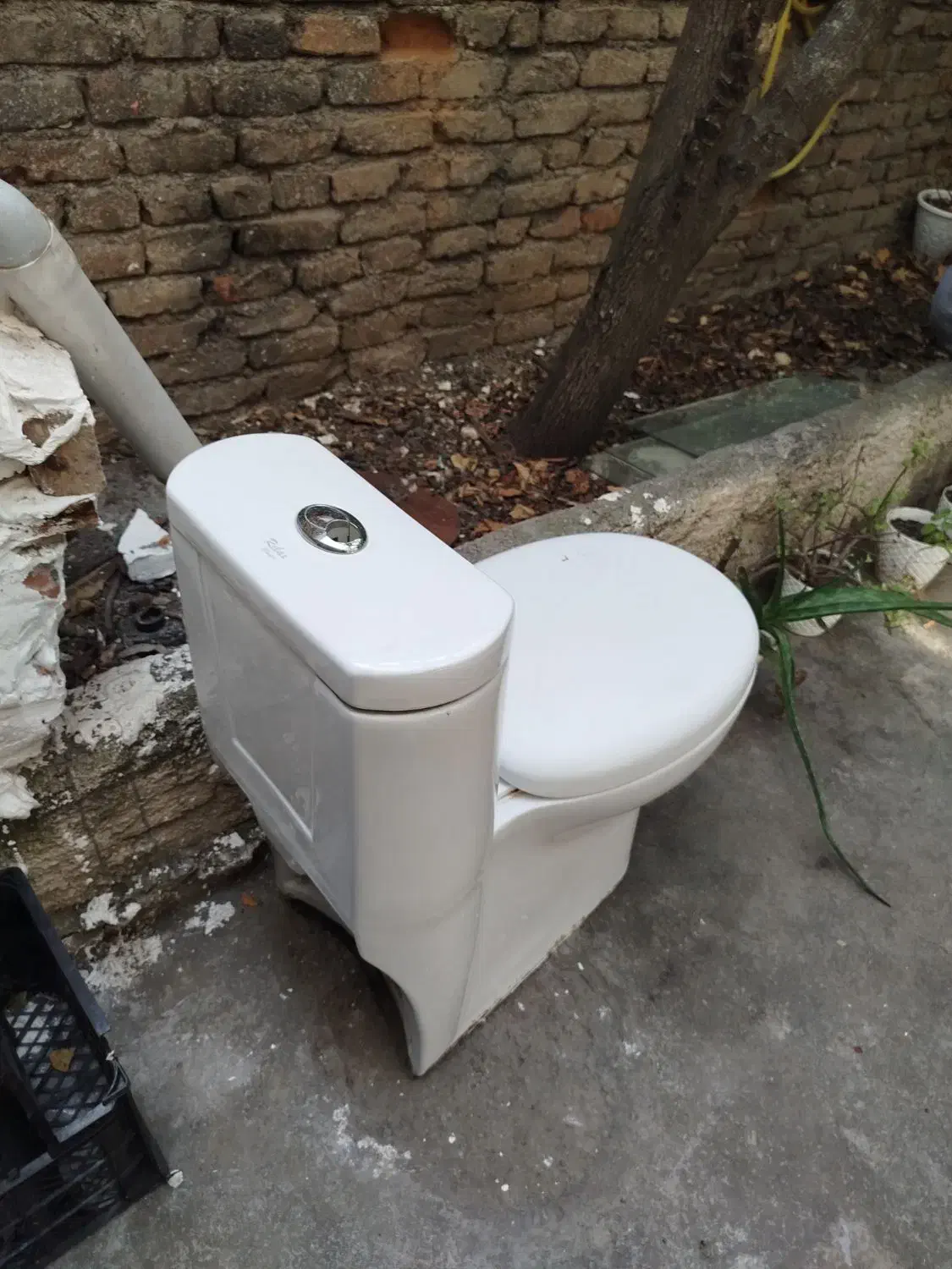 توالت فرنگی|لوازم سرویس بهداشتی|علیآباد کتول, |دیوار