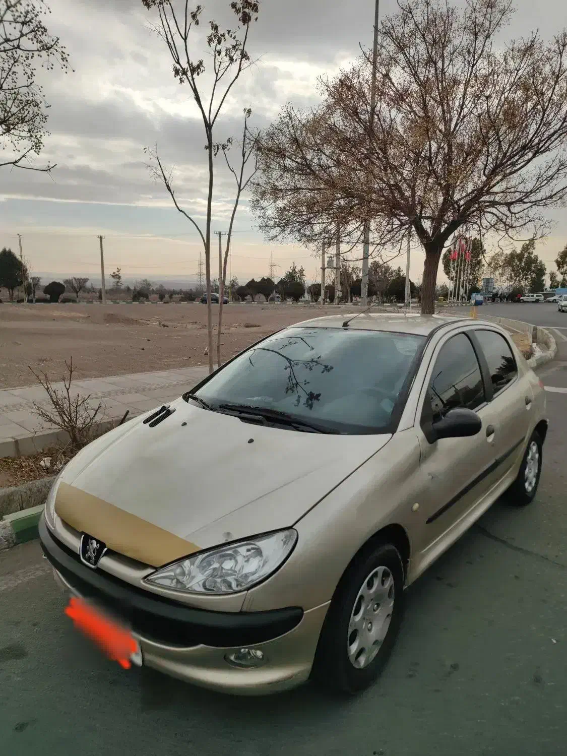 پژو 206|خودرو سواری و وانت|پرند, فاز ۱|دیوار