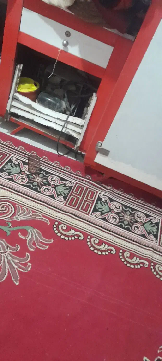 بخچال ویترینی سالم|فروشگاه و مغازه|حمیدیه, |دیوار