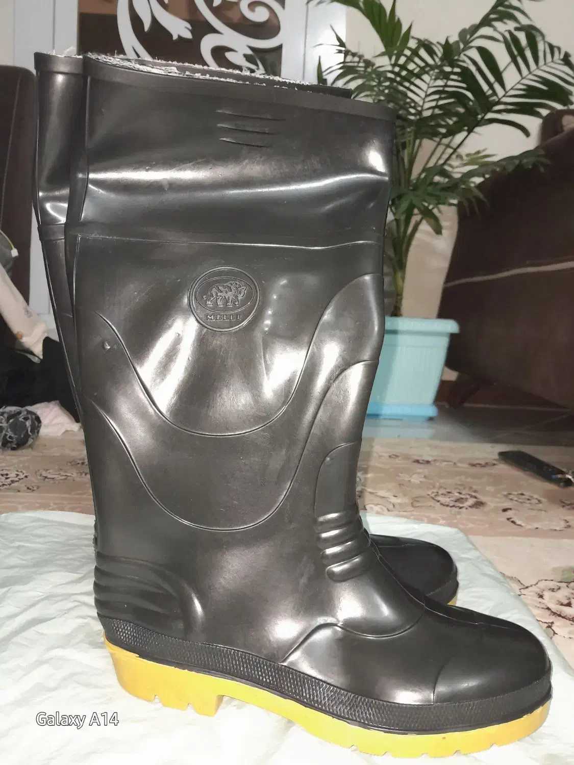 چکمه کفش ملی|کیف، کفش، کمربند|قوچان, |دیوار