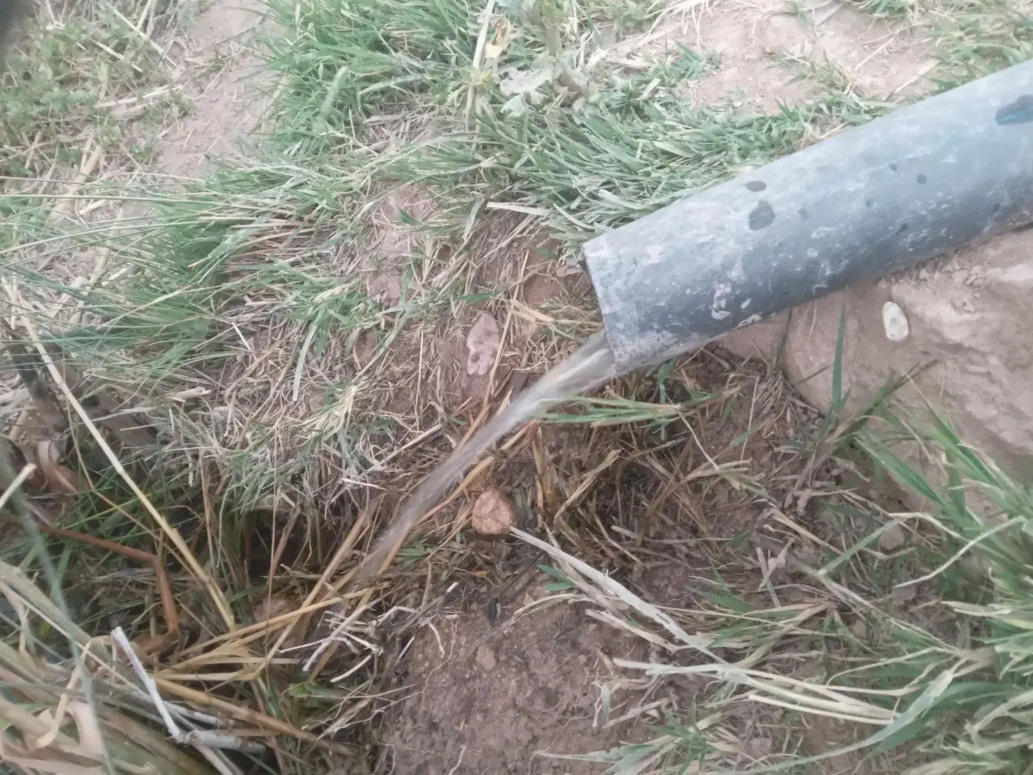 باغ انگور با حق آب ازچشمه شخصی|فروش دفتر صنعتی، کشاورزی، تجاری|ابهر, |دیوار