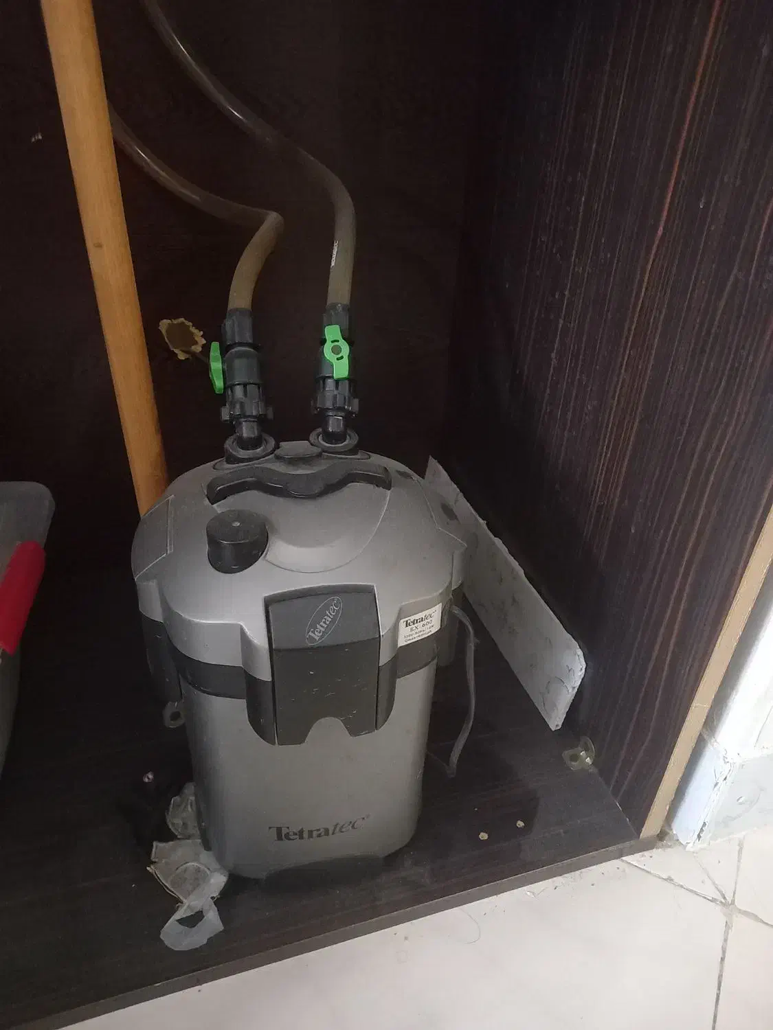 اکواریوم|ماهی|مشهد, مشکینی (شهرک غرب)|دیوار