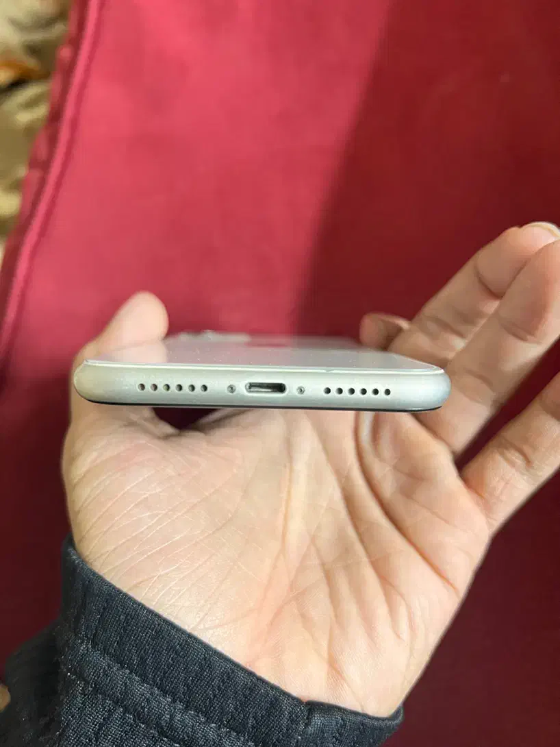 ایفون ۱۱|موبایل|سبزوار, گلشن|دیوار