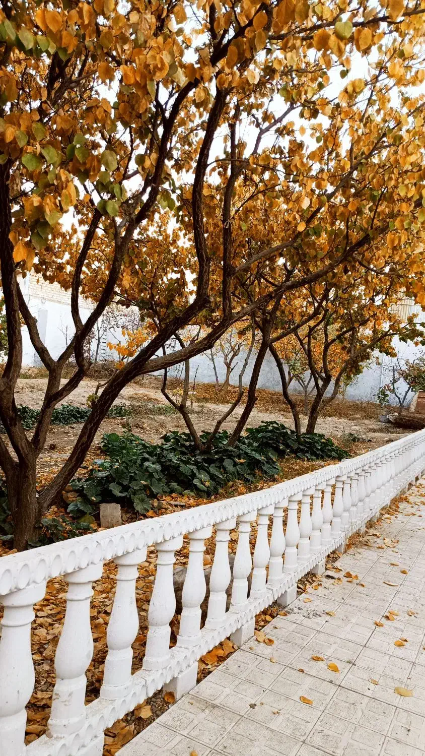 باغ|فروش خانه و ویلا|مشهد, باغ فراگرد|دیوار