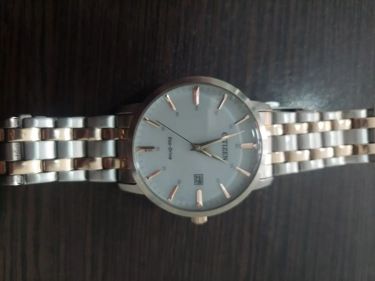 ساعت سیتیزن|ساعت|باغستان, |دیوار