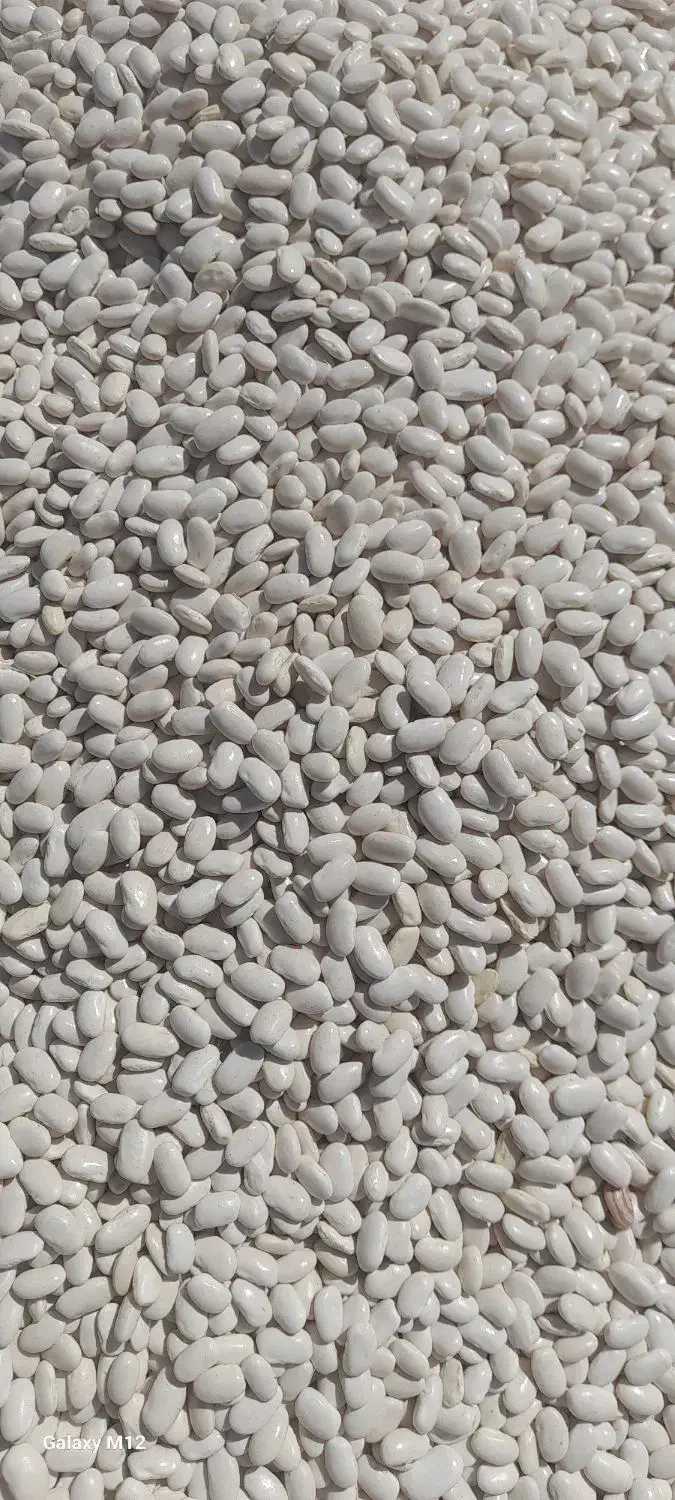 لوبیا چیتی سفید|خوردنی و آشامیدنی|رستم, |دیوار