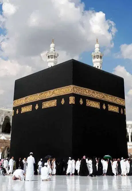 فروش فیش چج تمتع به تاریخ شهریور۸۶|تور و چارتر|کردکوی, |دیوار