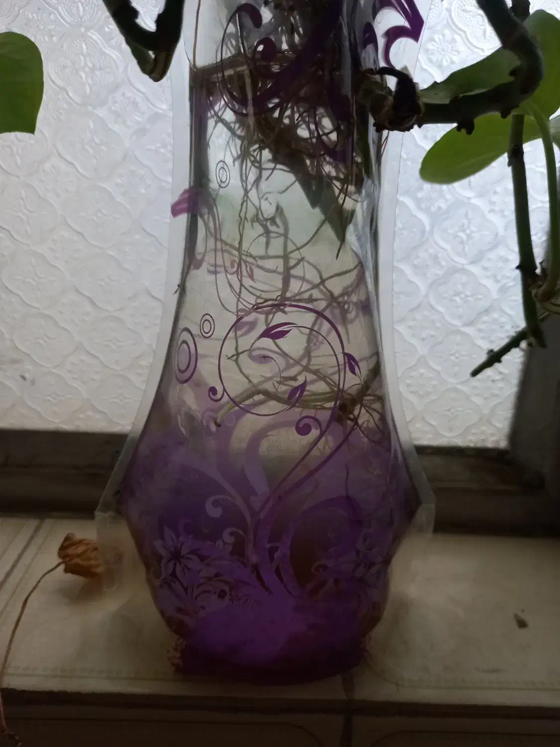 گلدان گل|گل و گیاه طبیعی|بیرجند, |دیوار