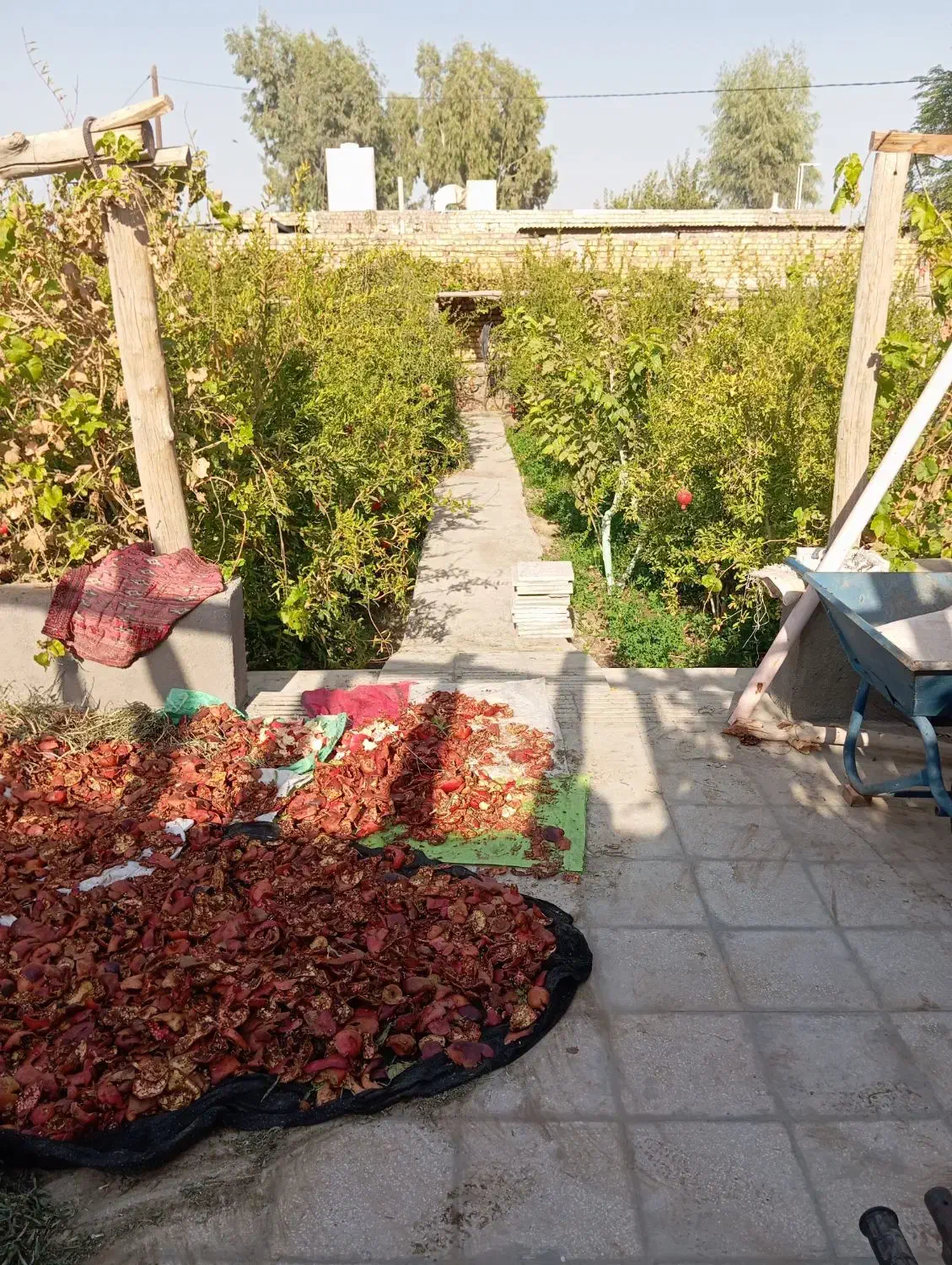 خانه باغ جاده کاشان|فروش خانه و ویلا|قنوات, |دیوار