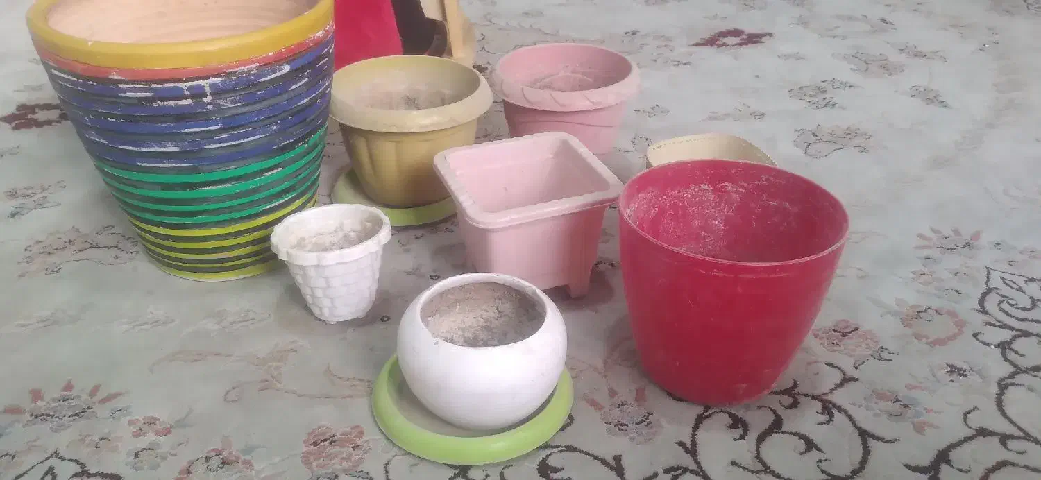 گلدان بزرگ سالم|گل و گیاه طبیعی|قرچک, داوود آباد|دیوار