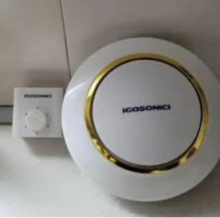 پنکه سقفی ایگوسونیکی و مرغ عشق انگلیسی ماده|پنکه و تصفیه‌کنندهٔ هوا|آبادان, |دیوار