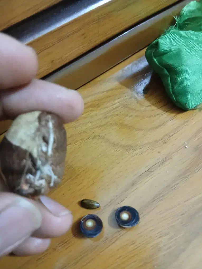 مهره|کتاب و مجله مذهبی|مشهد, زیبا شهر|دیوار