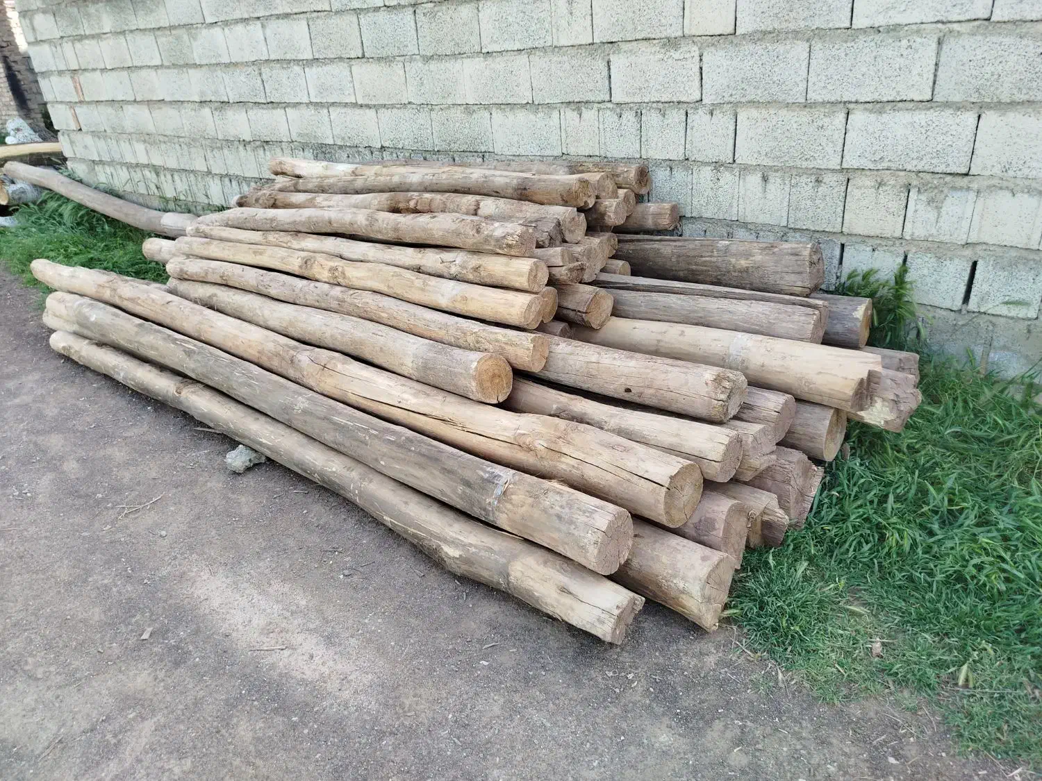 خرید چوب سقفی|خدمات پیشه و مهارت|سلماس, |دیوار