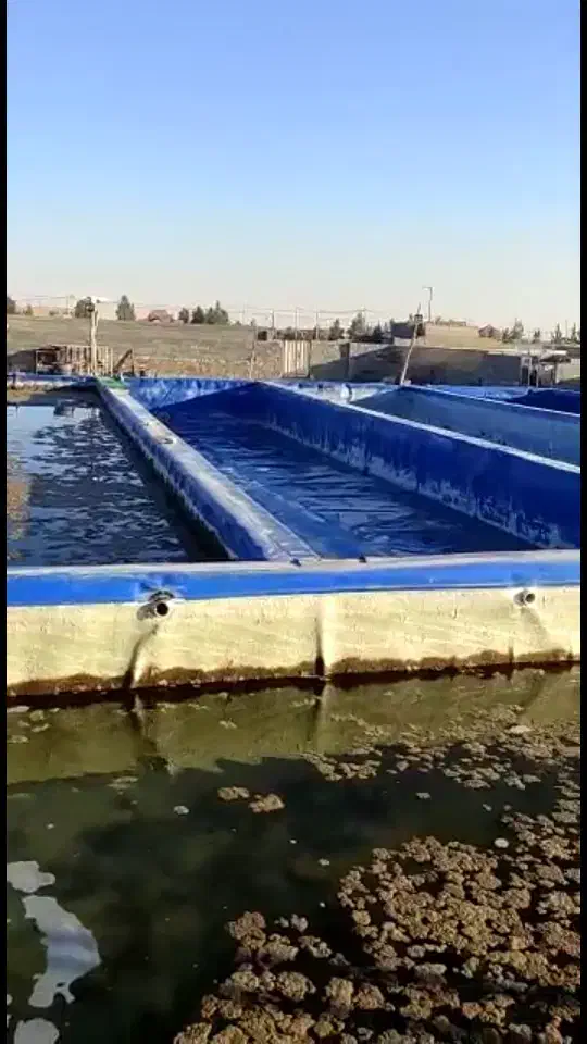 اجاره استخر پرورش ماهی آب شور|اجارهٔ دفتر صنعتی، کشاورزی، تجاری|اصفهان, قهاب جنوبی|دیوار