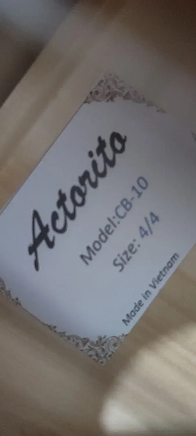 گیتار|گیتار، بیس، امپلیفایر|پلدختر, |دیوار