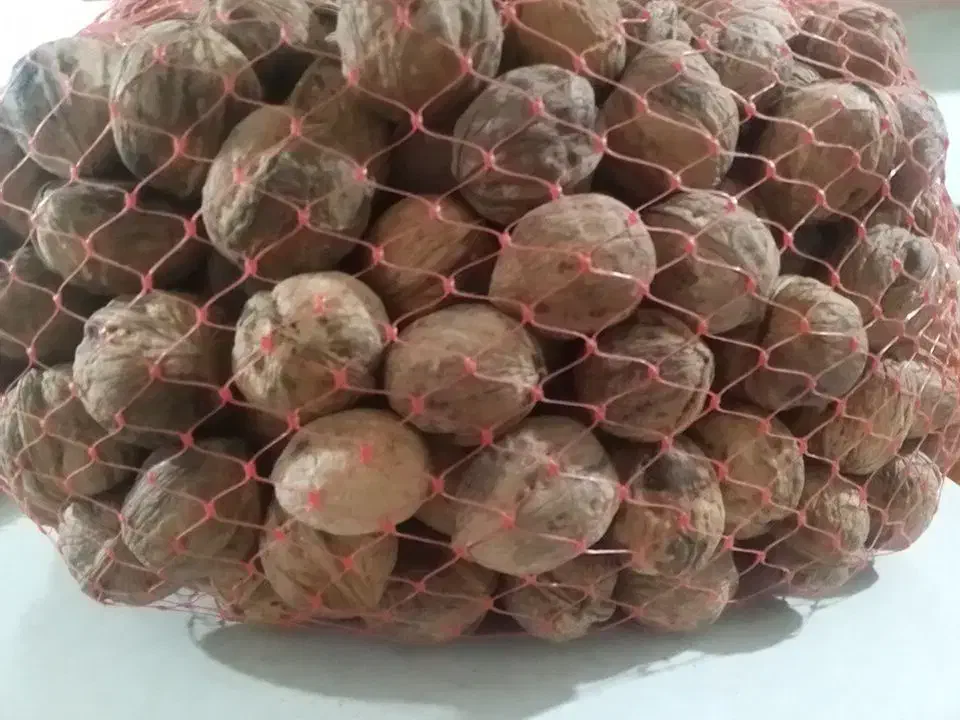 گردو مغز سفید پر چرب کوهستان گری دو و چهارصد|خوردنی و آشامیدنی|بردسیر, |دیوار