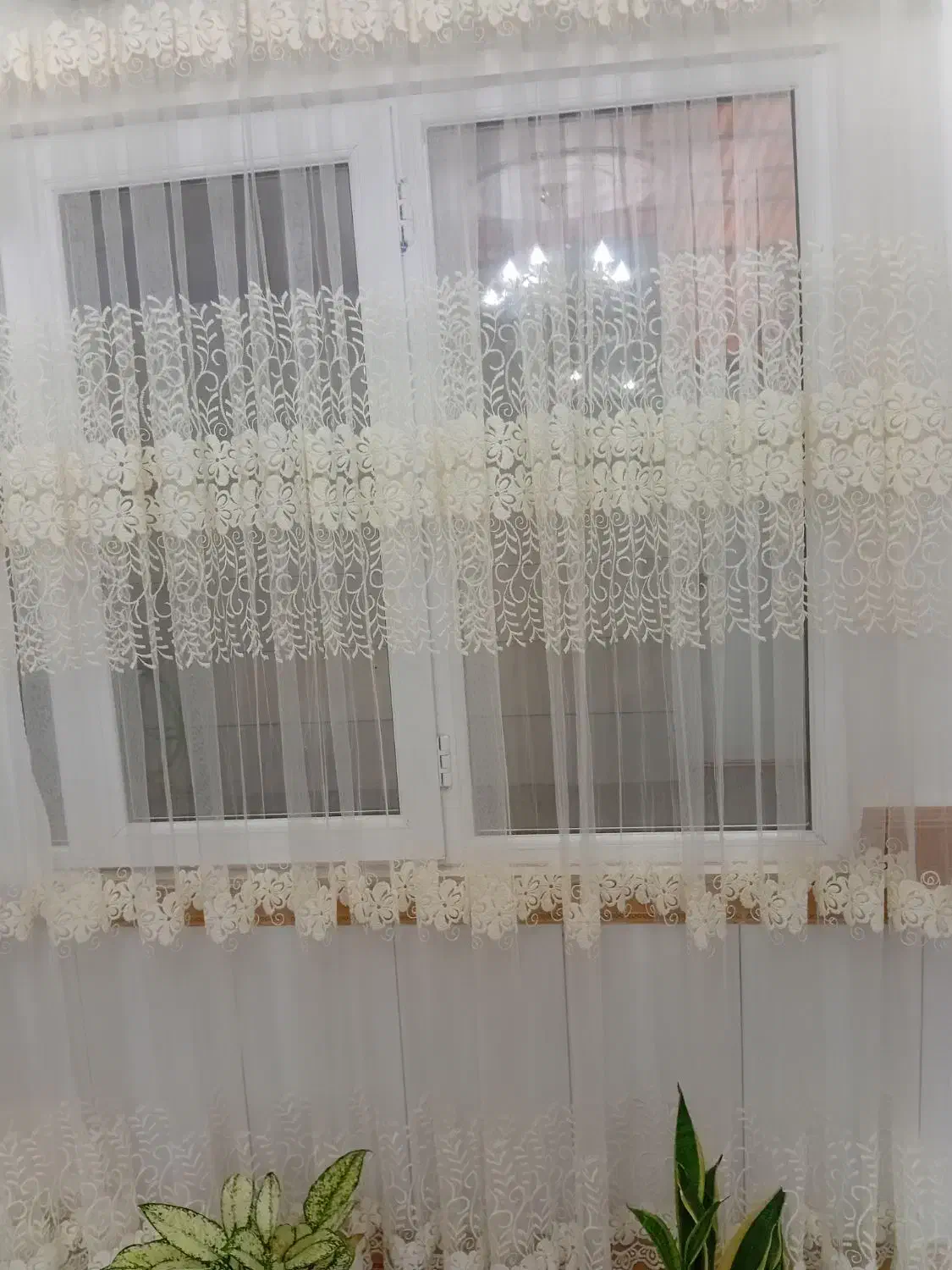 پرده|پرده، رانر، رومیزی|آبگرم, |دیوار