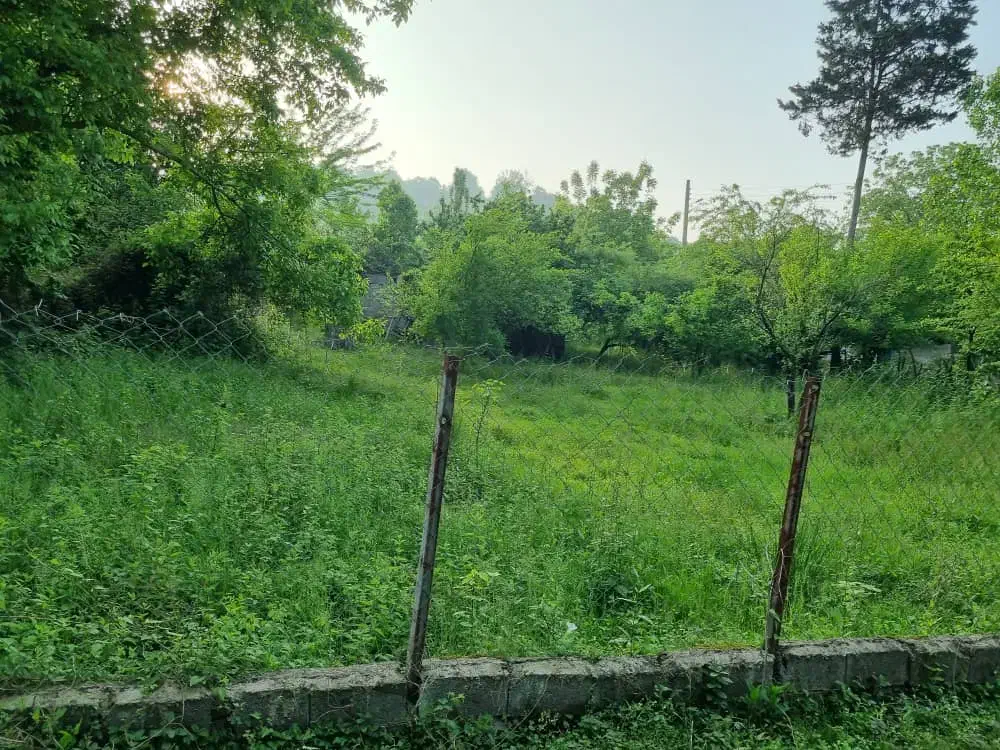 فروش زمین در لفور|فروش زمین و ملک کلنگی|آلاشت, |دیوار