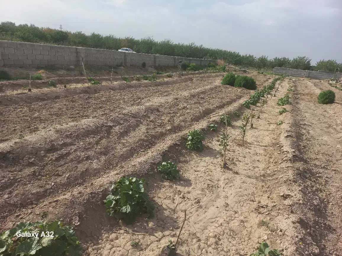 زمین زراعی در کردلر،ایلخچی|فروش زمین و ملک کلنگی|ایلخچی, |دیوار